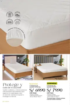 Vista previa de folleto Azzorti - Campaña 15 de la Azzorti válido desde 15.09.2025 | Página: 232 | Productos: Cama, Colchón, Té