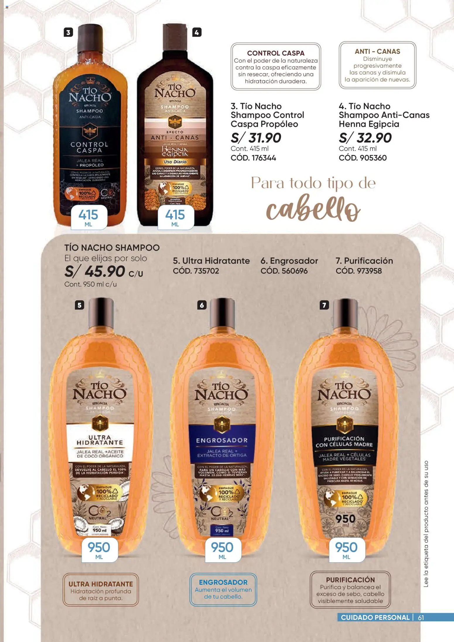 Catálogo Azzorti válido desde 26.01.2026 | Página: 61 | Productos: Shampoo, Empaque