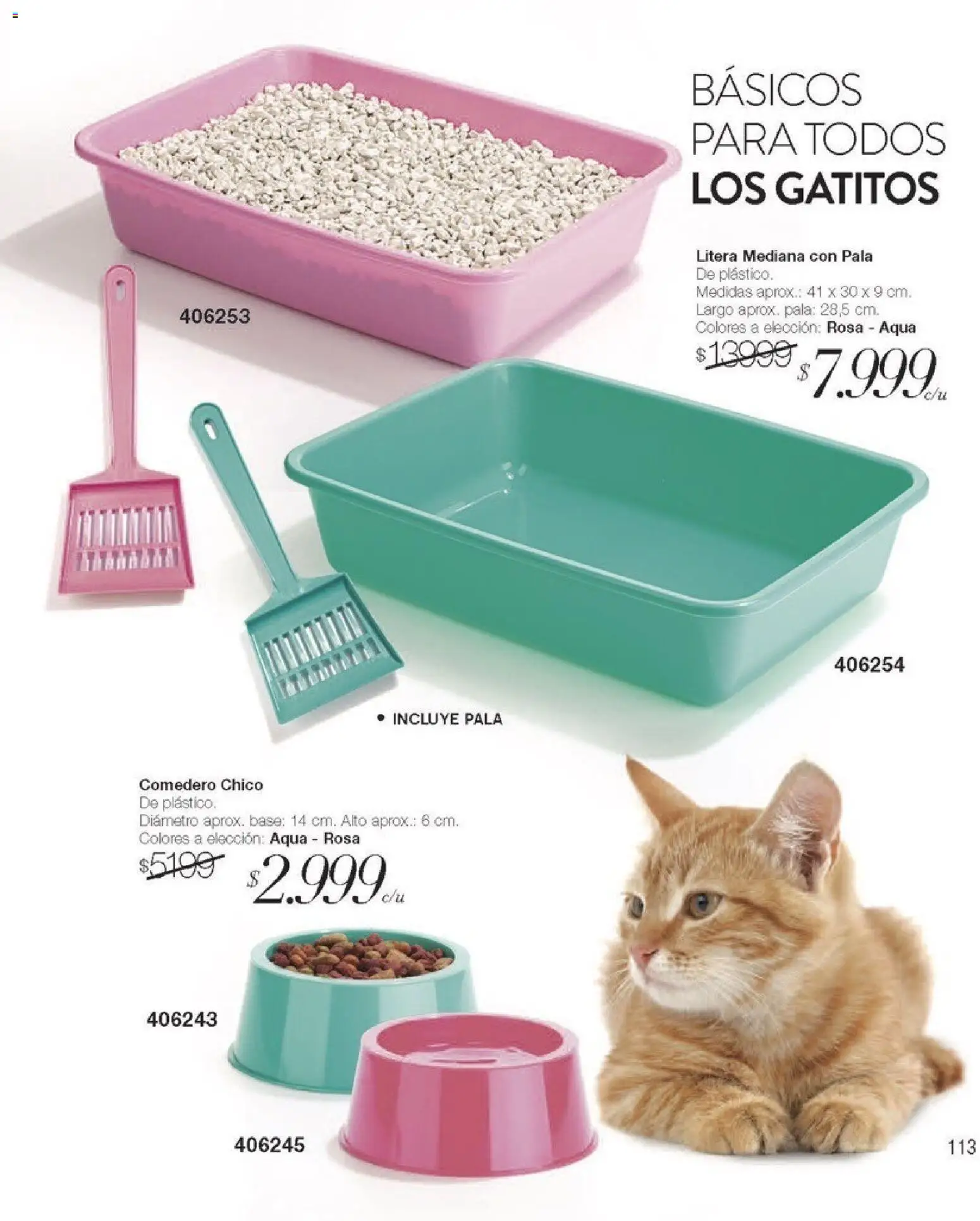 Violetta catálogo de 01/05/2026 ✳️ Obtenga un descuento limitado hoy mismo | Argentina