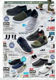 01.10.2025から有効なオファーを含む ヒラキ - Exciting Price 3712 | ページ: 71 | 製品: インソール