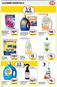 Preview of IGA  Catalogue  - valid from 24.12.2025 | Page: 29