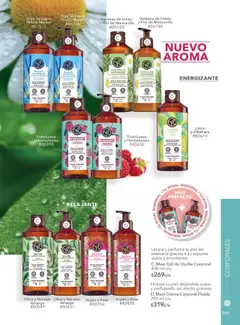 Vista previa de Yves Rocher - Campaña 15 2025, nuevo folleto de la tienda, válido en México a partir del 28.10.2025 | Página: 111 | Productos: Crema, Hinojo, Body, Crema corporal