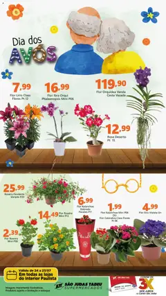 São Judas Tadeu - Ofertas da semana - Pré-Visualização do folheto da loja São Judas Tadeu, válido de 24.07.2025