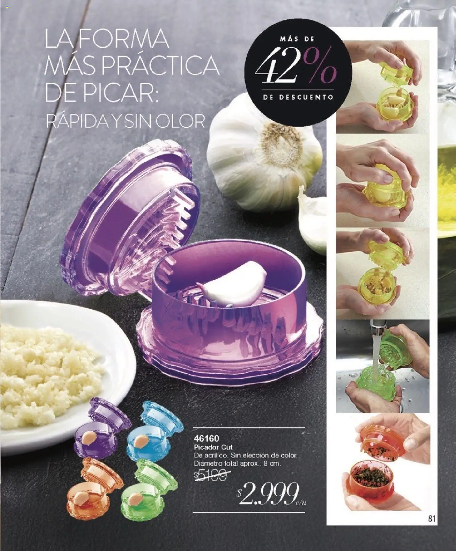 Violetta catálogo │ válido desde el 01.02.2026 | Página: 81