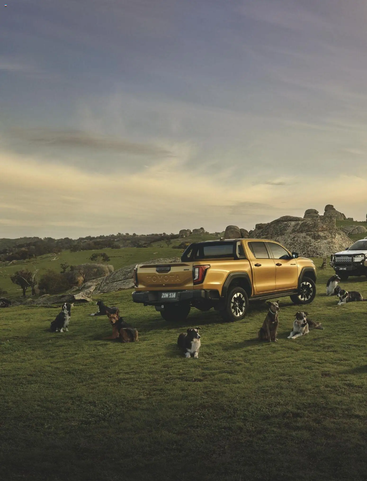 Bunnings Warehouse catalogue - valid from 01.01.2026 | Page: 2