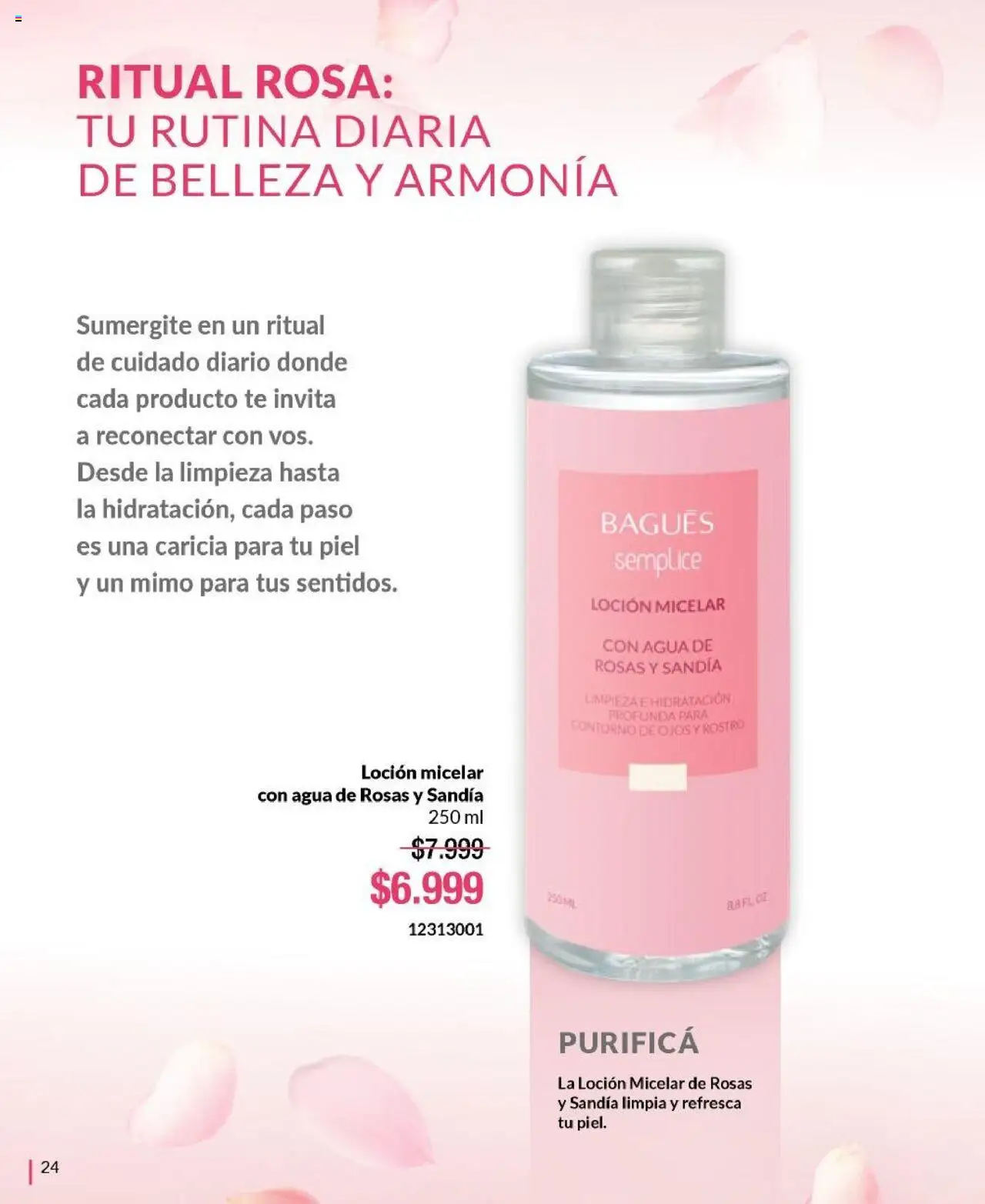 Bagués catálogo │ válido desde el 01.06.2025 | Página: 24 | Productos: Sandía, Loción, Agua, Té