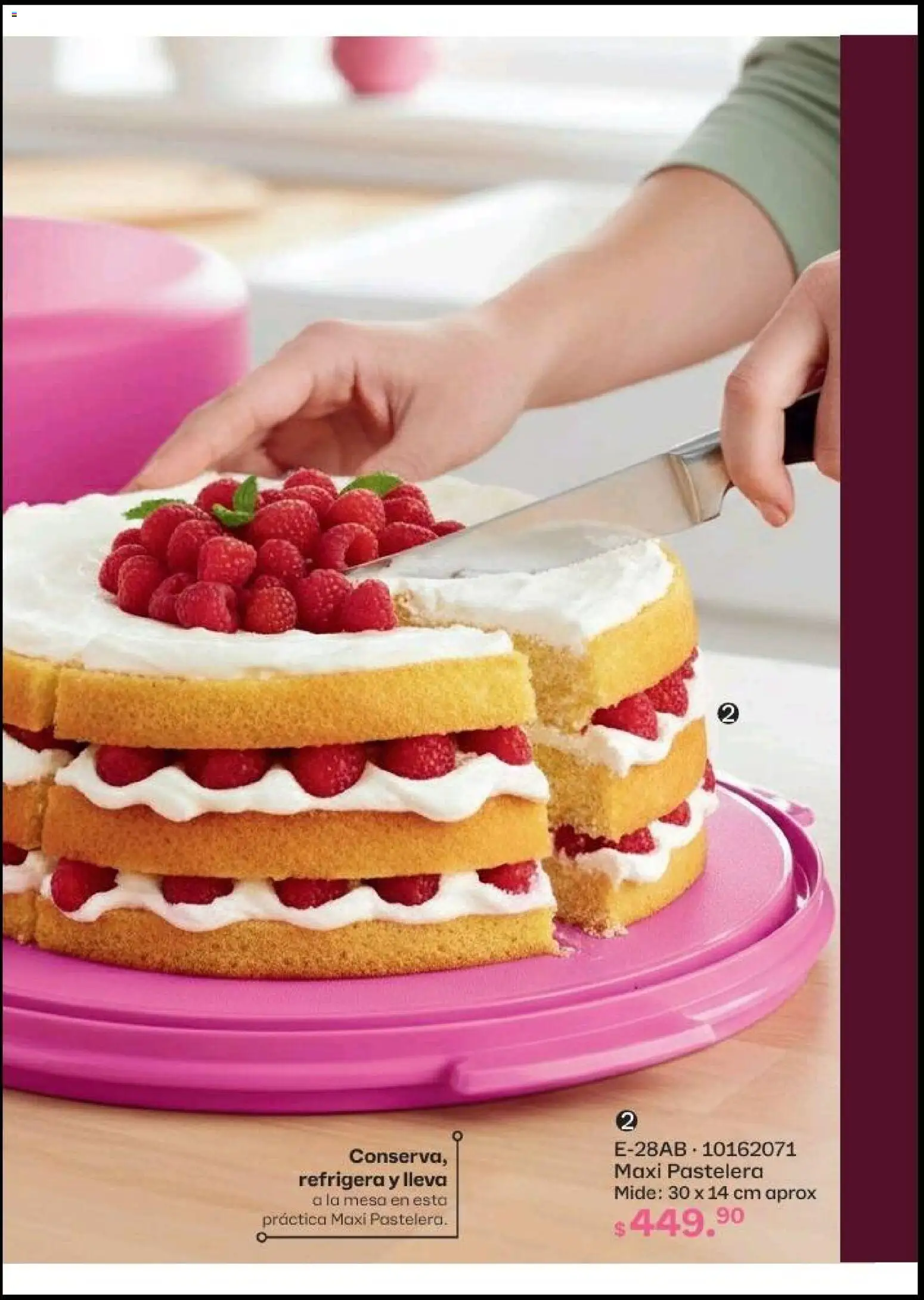 Nuevas ofertas de Tupperware válidas en toda la República Mexicana desde el 20.04.2026. ¡Encuentra las mejores ofertas en Tupperware catálogo! | Página: 61 | Productos: Mesa