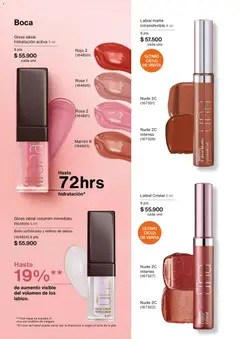 Natura - Catálogo Natura C03/2026 -  Vista previa de la revista de la tienda Natura valido desde el 01.03.2026 | Página: 59