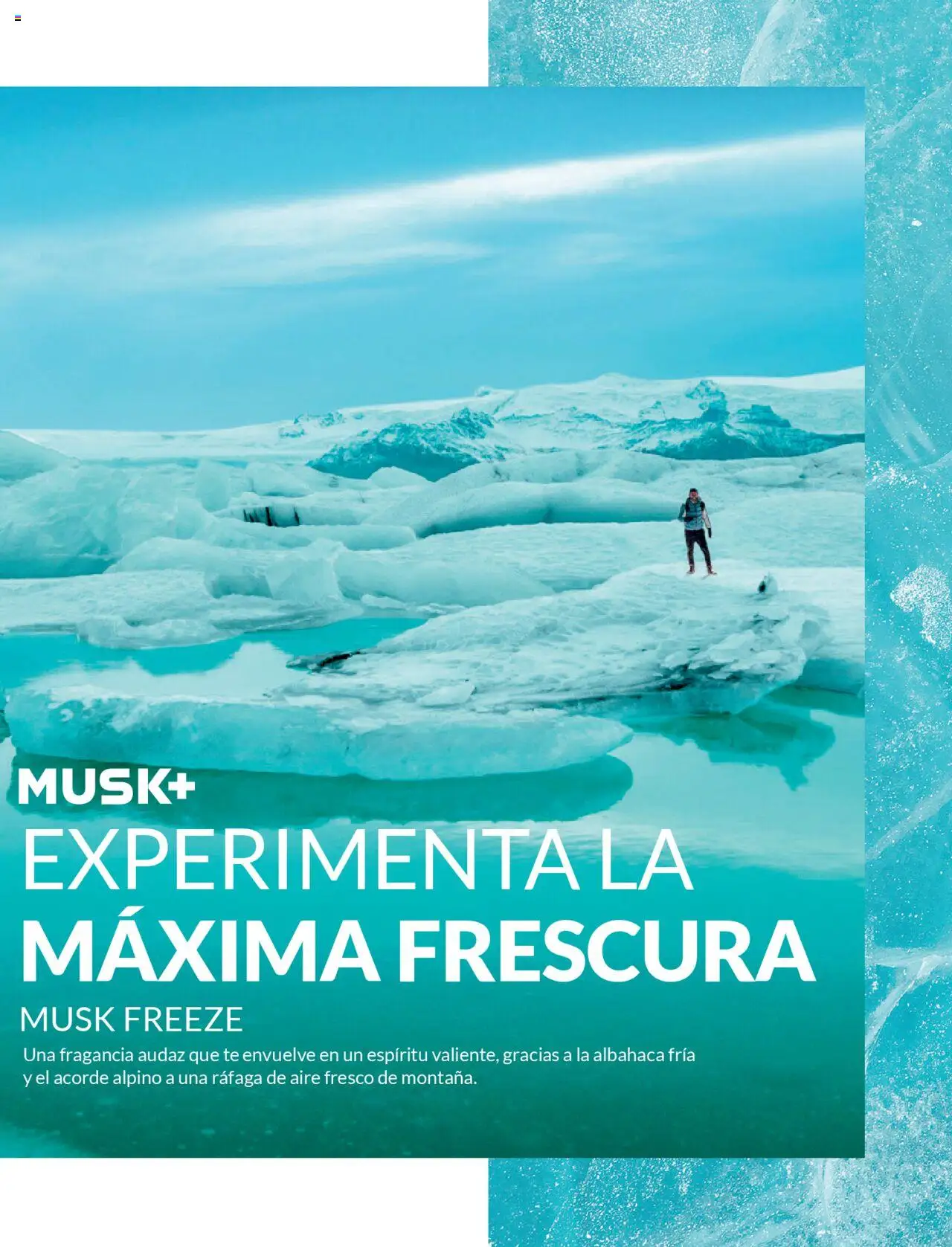 Avon revista - valida desde el 12.09.2025 | Página: 66 | Productos: Té, Fragancia