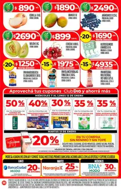 Vista previa Supermercado DIA Ofertas válido desde el 07.01.2026 | Página: 4 | Productos: Papel higiénico, Cocina, Mango, Pan