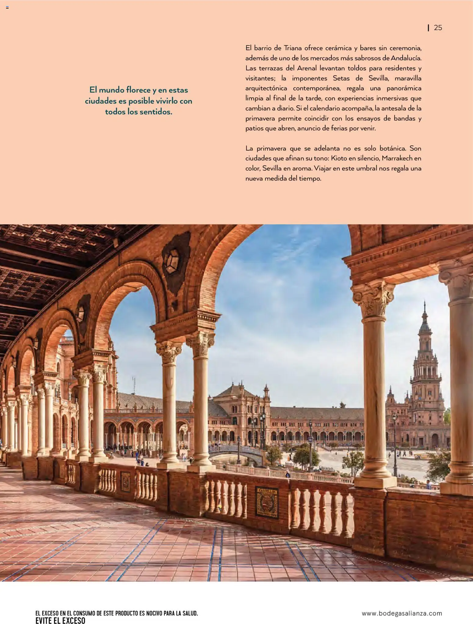 Nuevas ofertas de Bodegas Alianza válidas en toda la República Mexicana desde el 01.01.2026. ¡Encuentra las mejores ofertas en Bodegas Alianza catálogo! | Página: 27