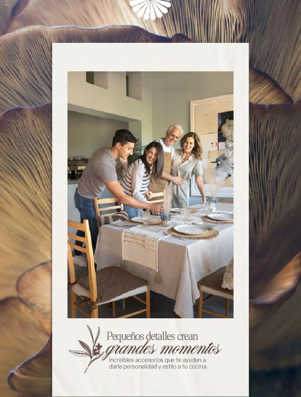 Nuevas ofertas de Vianney válidas en toda la República Mexicana desde el 07.03.2025. ¡Encuentra las mejores ofertas en Vianney catálogo Primavera! | Página: 245 | Productos: Té