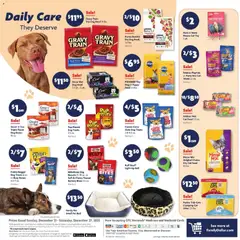 Preview of Family Dollar weekly ads valid from 21.12.2025 | Page: 13