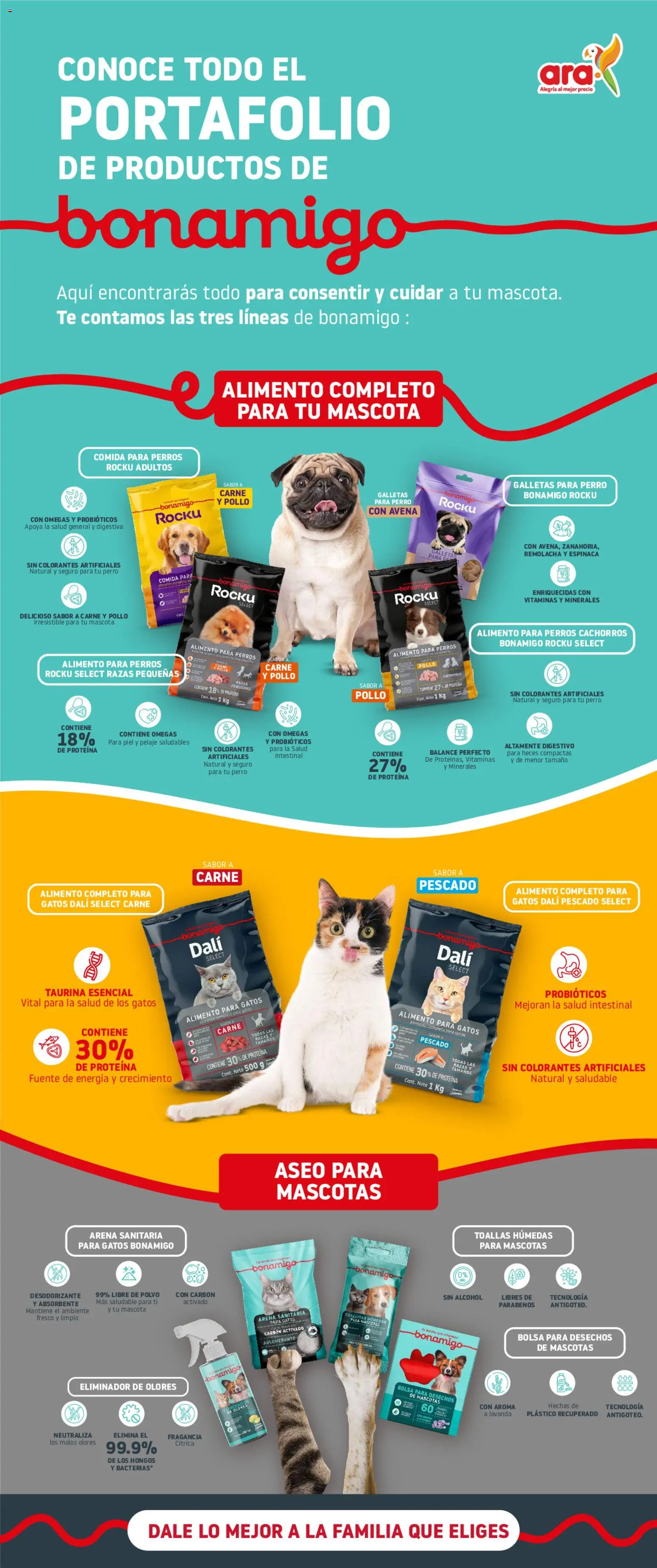 Ara revista - valida desde el 08.12.2025 | Página: 1 | Productos: Té, Remolacha, Toallas húmedas, Vitaminas