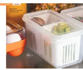 Vista previa de Ideales para el refrigerador o para llevar alimentos sólidos., Food container with compartments, ideal for refrigerator or for carrying solid foods., nuevo folleto de la tienda, válido en México a partir del 13.03.2026 | Página: 150 | Productos: Refrigerador, Cocina