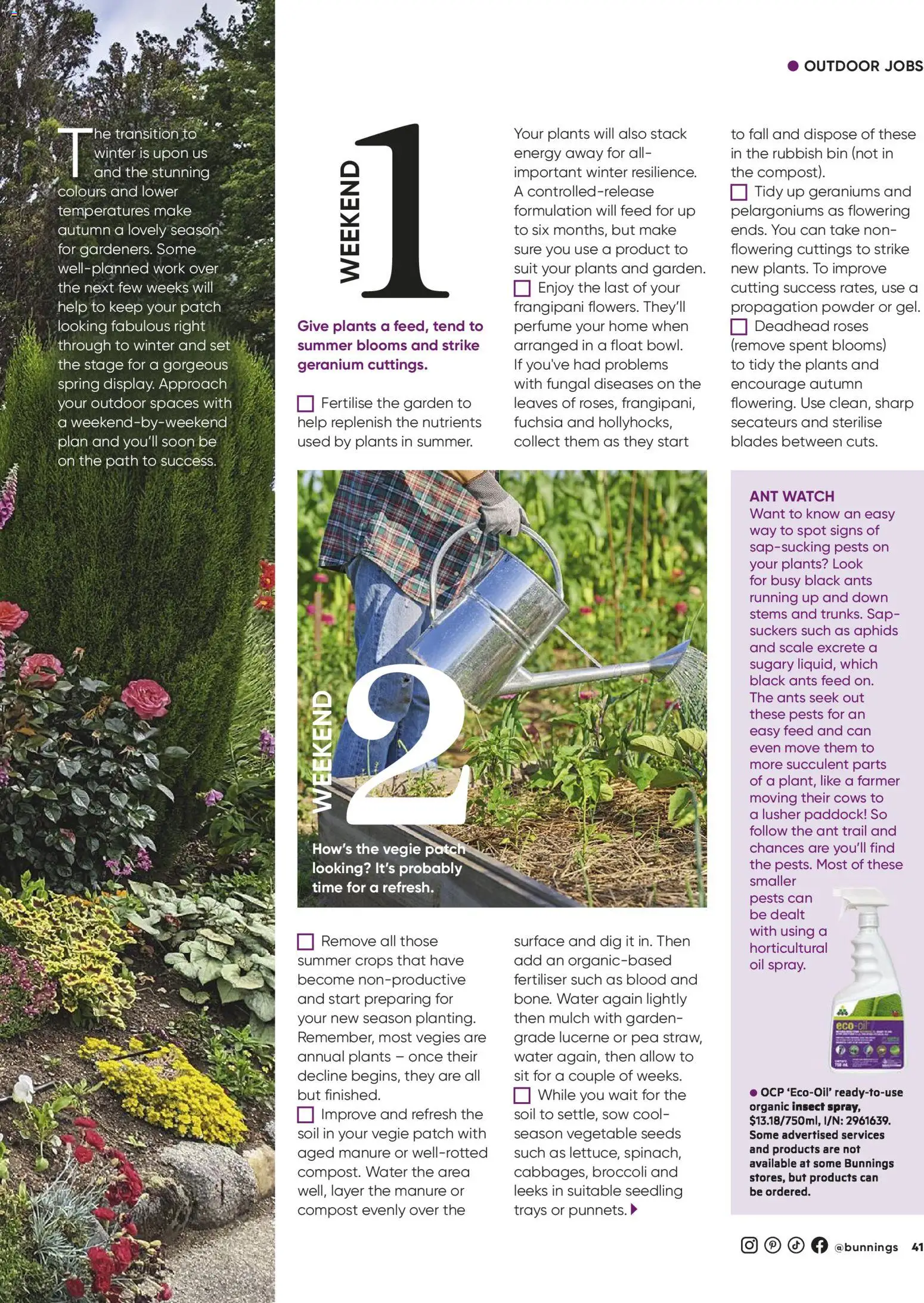 Bunnings Warehouse catalogue - valid from 01.03.2026 | Page: 41 | Products: Leeks, Compost, Suit, Pea