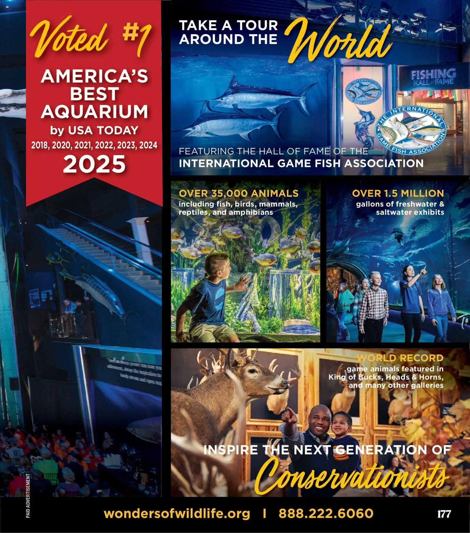 Cabela's Christmas Gift Guide 25 - valid from 01.11.2025 | Page: 177 | Products: Fish, Game