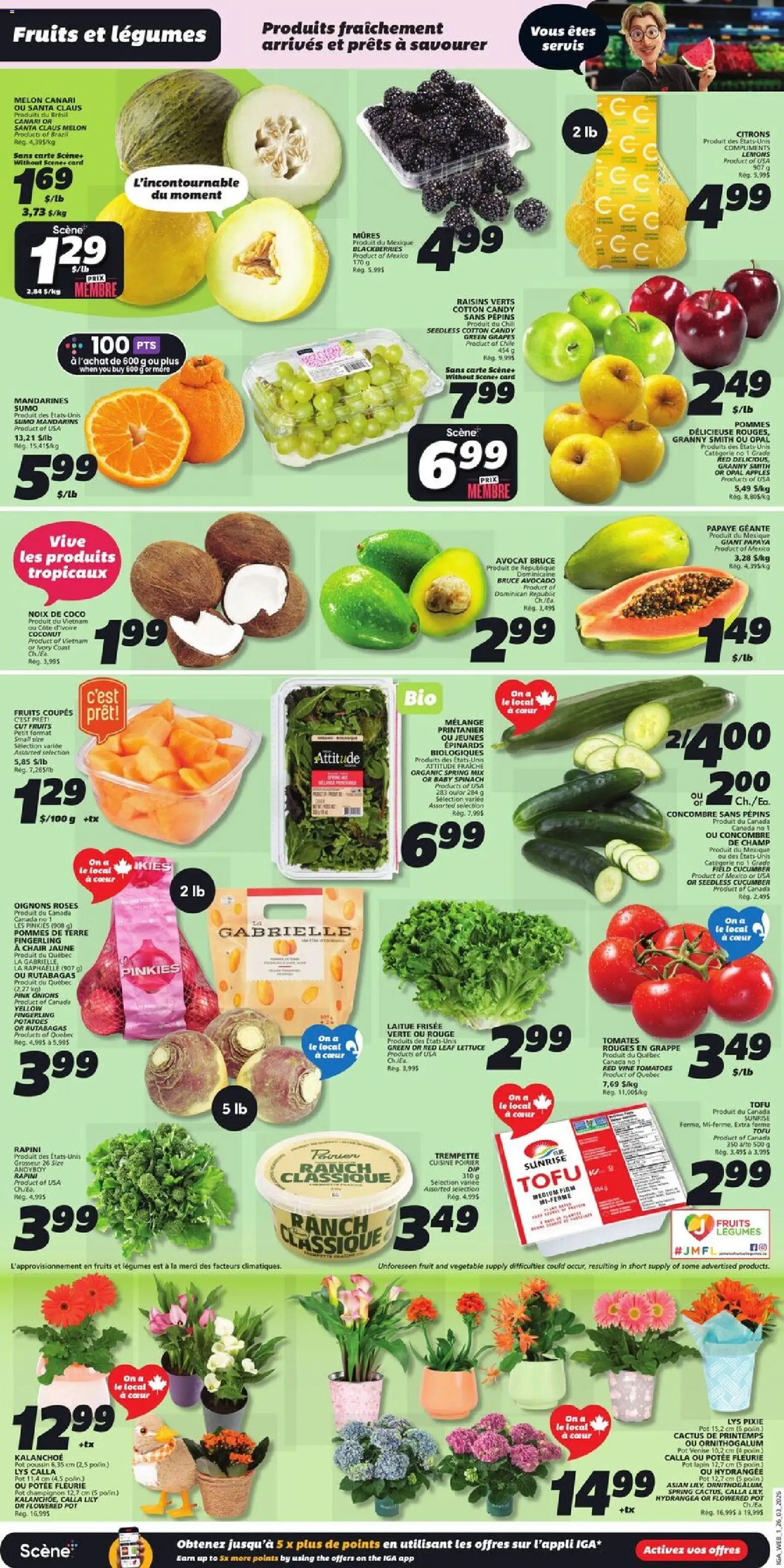 IGA flyer valid from 26.03.2026 | Page: 3 | Products: Potatoes, Chair, Apples, Tomatoes