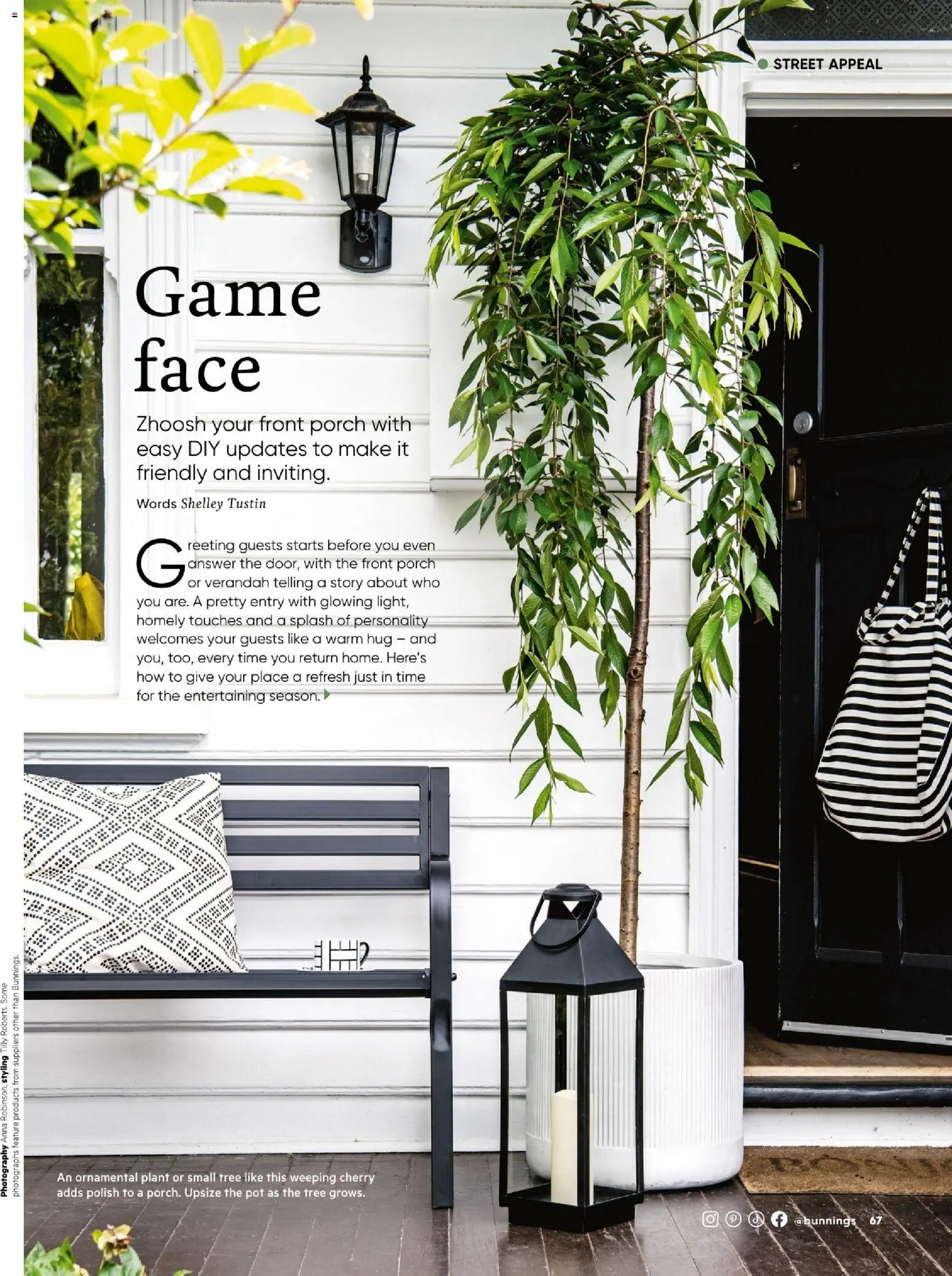 Bunnings Warehouse catalogue - valid from 01.12.2025 | Page: 67 | Products: Pot, Plant, Polish, Game