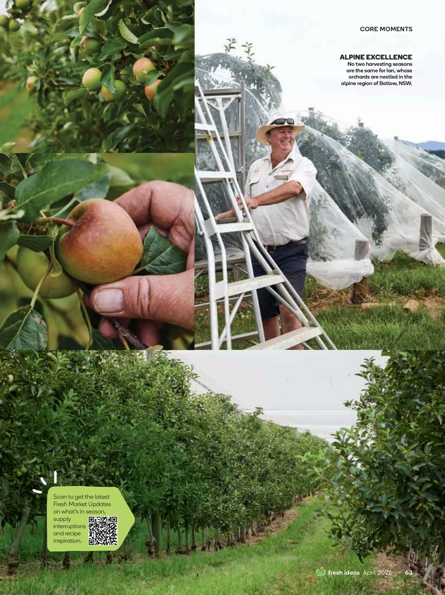 Woolworths catalogue - valid from 01.04.2026 | Page: 63