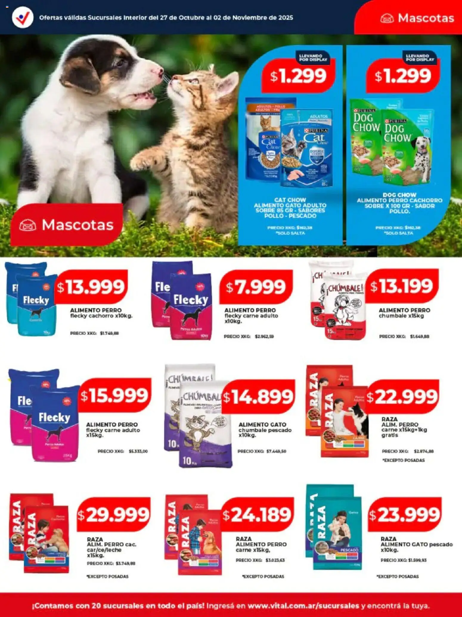 Vital - Ofertas - Posadas │ válido desde el 27.10.2025 | Página: 21 | Productos: Sobre, Pollo, Pescado