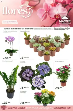 Master - Ofertas Flores - Pré-Visualização do folheto da loja Master, válido de 15.08.2025