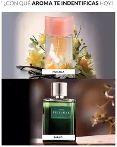 Vista previa de folleto Avon - Ciclo 19 de la Avon válido desde 01.12.2025 | Página: 90 | Productos: Té