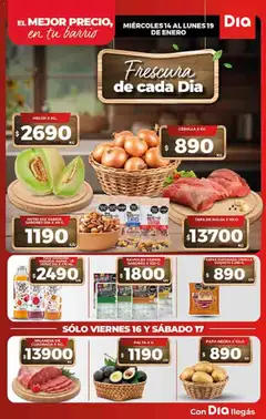 Vista previa Supermercado DIA Ofertas válido desde el 14.01.2026 | Página: 5 | Productos: Cebolla, Milanesa, Melón, Ravioles