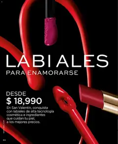 L'Bel - Catálogo L'Bel C03/2026 -  Vista previa de la revista de la tienda L'Bel valido desde el 01.03.2026 | Página: 84