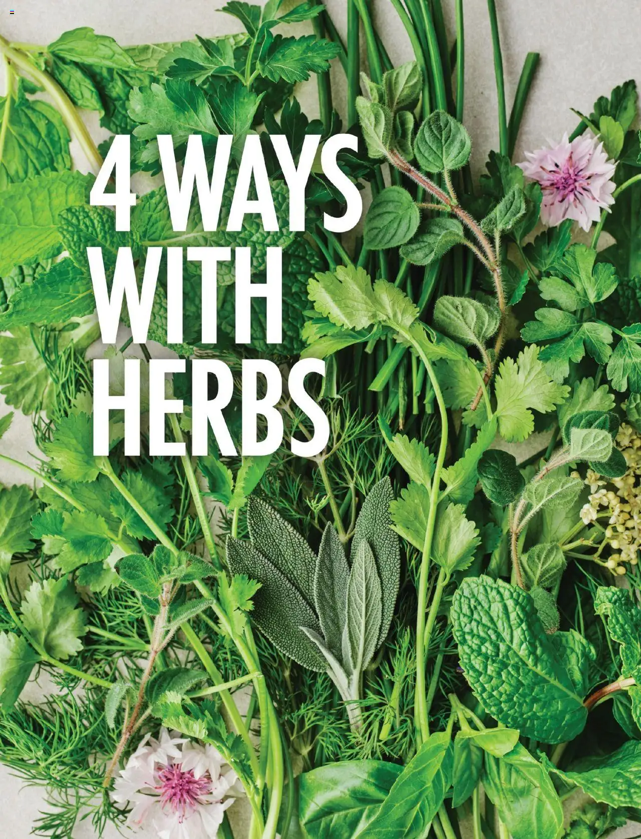 Foodland catalogue - valid from 01.09.2025 | Page: 29