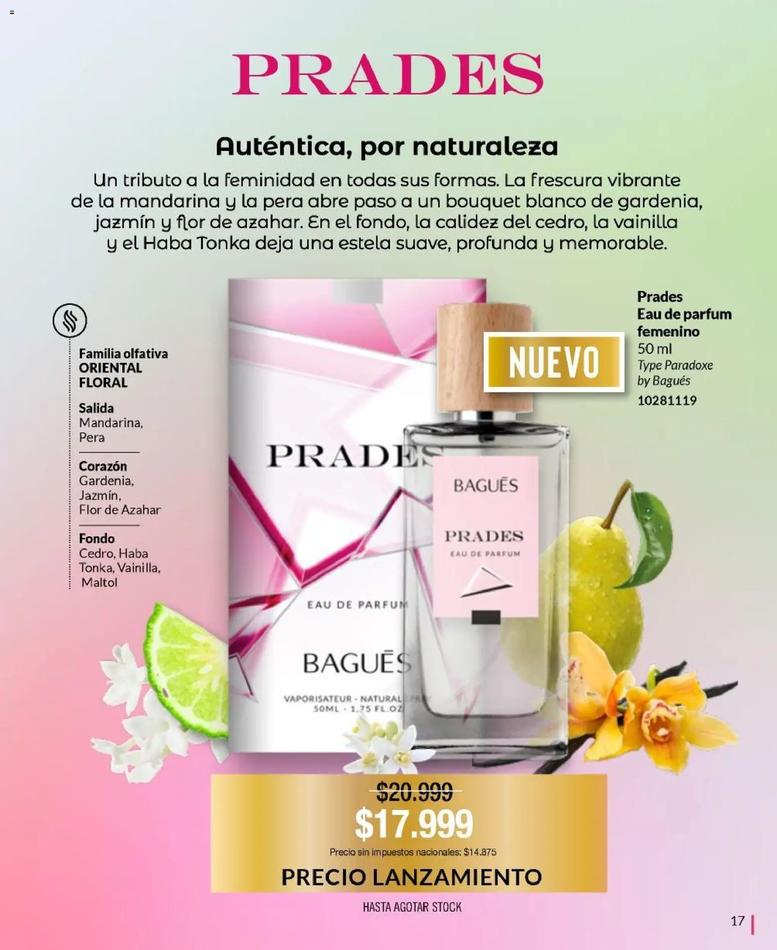 Bagués - Catálogo │ válido desde el 20.10.2025 | Página: 17 | Productos: Pera
