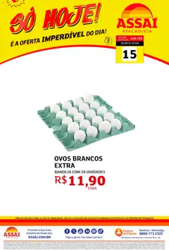 Assaí Atacadista ofertas - TO - Pré-Visualização do folheto da loja Assaí Atacadista, válido de 15.04.2026