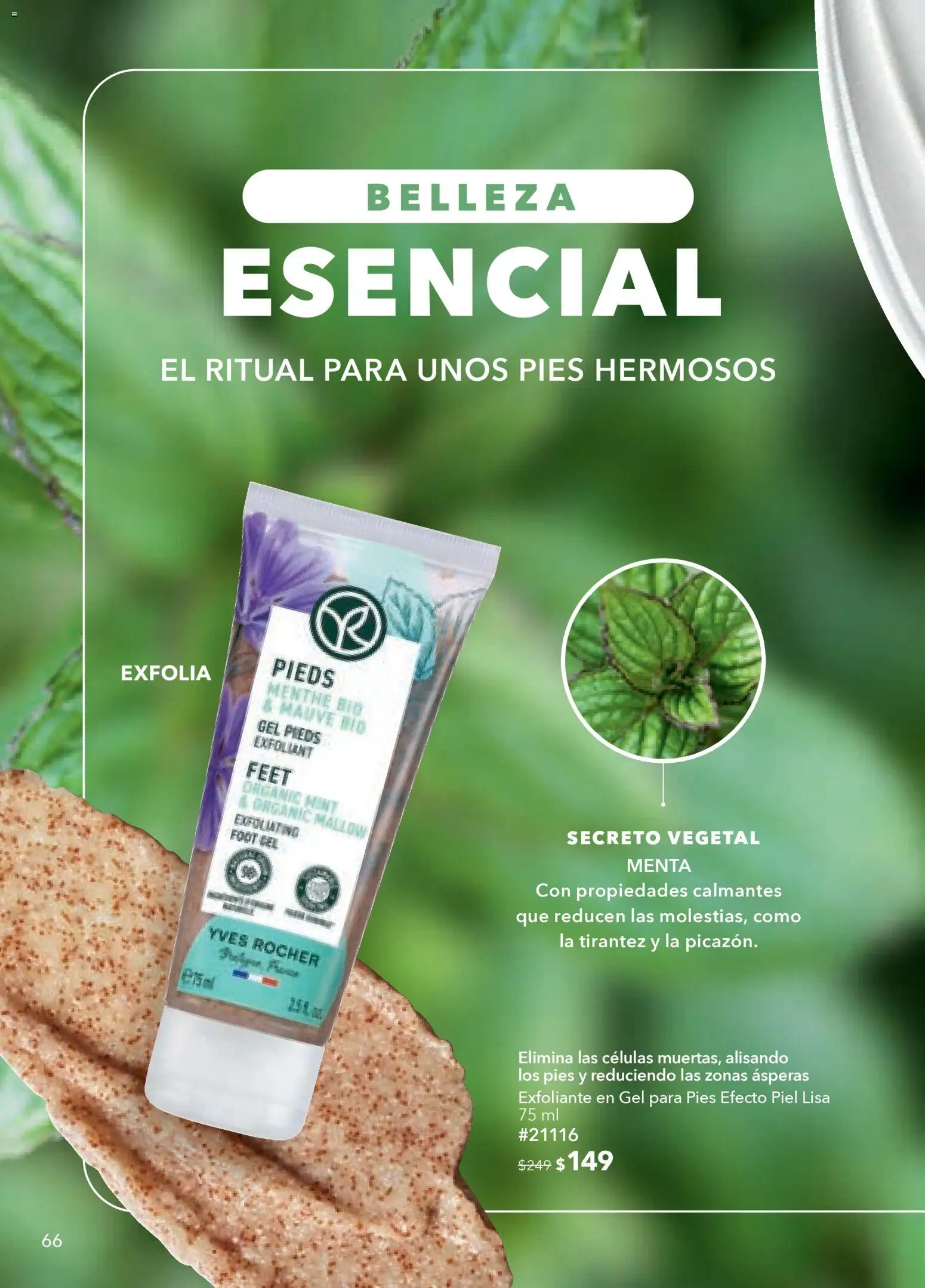 Nuevas ofertas de Yves Rocher válidas en toda la República Mexicana desde el 03.03.2026. ¡Encuentra las mejores ofertas en Yves Rocher campaña 4 2026! | Página: 68