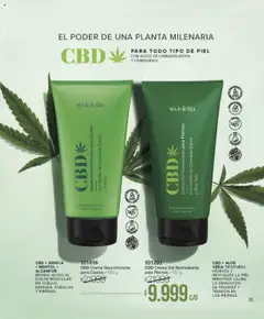 Vista previa Violetta catálogo válido desde el 09.10.2025 | Página: 31 | Productos: Aceite, Planta, Crema