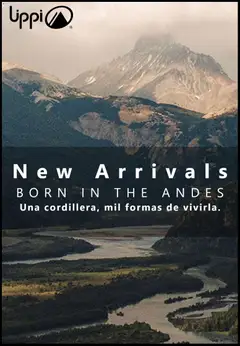 Lippi ofertas  válido desde el 12.11.2025