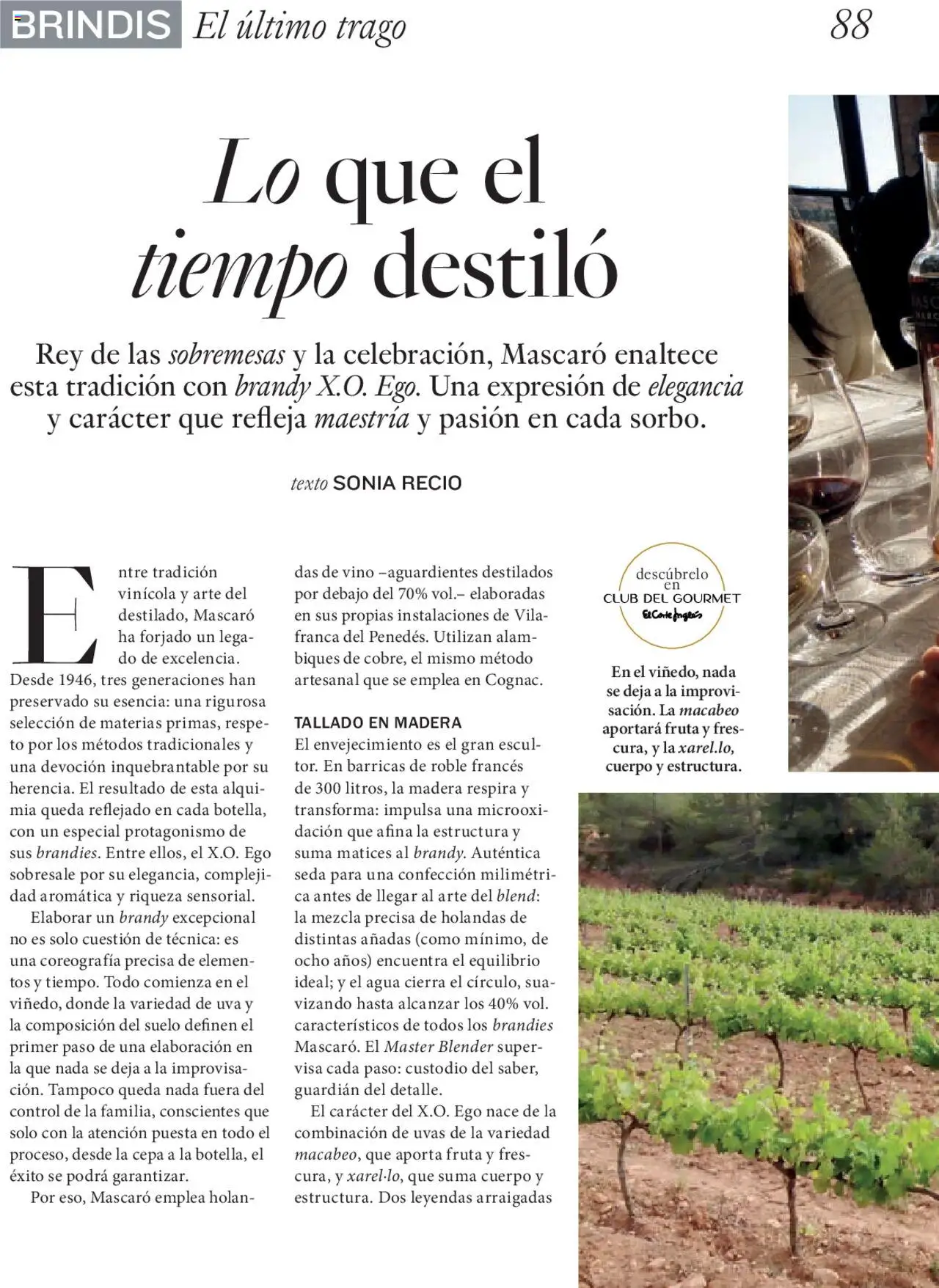 Nuevas ofertas de El Corte Inglés válidas en toda la República Mexicana desde el 27.06.2025. ¡Encuentra las mejores ofertas en El Corte Inglés Gourmet Magazin! | Página: 88 | Productos: Agua, Uva, Vino