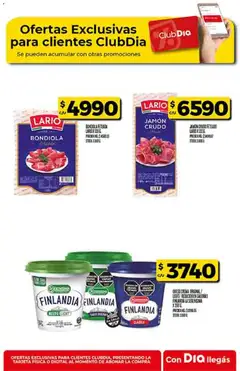Vista previa Supermercado DIA Ofertas válido desde el 11.02.2026 | Página: 55