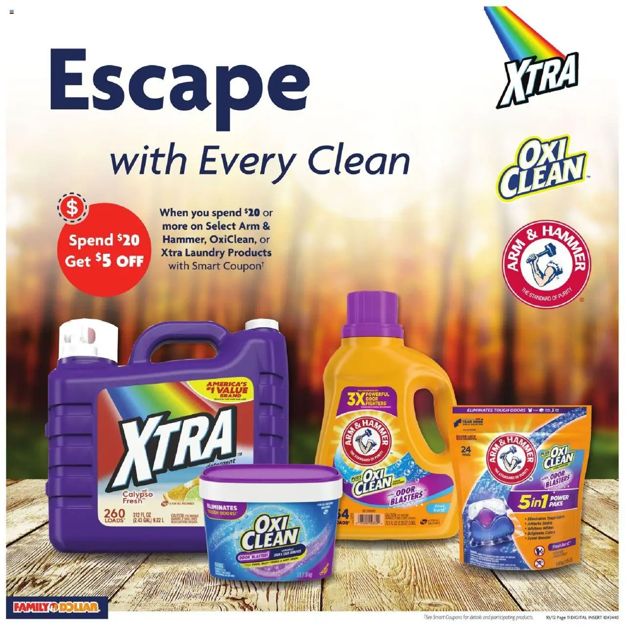 Family Dollar Weekly Ad - valid from 12.10.2025 | Page: 8 | Products: Stain remover, Detergent
