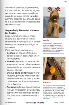 Vista previa de Costco Revista Diciembre, nuevo folleto de la tienda, válido en México a partir del 01.12.2025 | Página: 49 | Productos: Chaleco, Chocolate, Cama, Té
