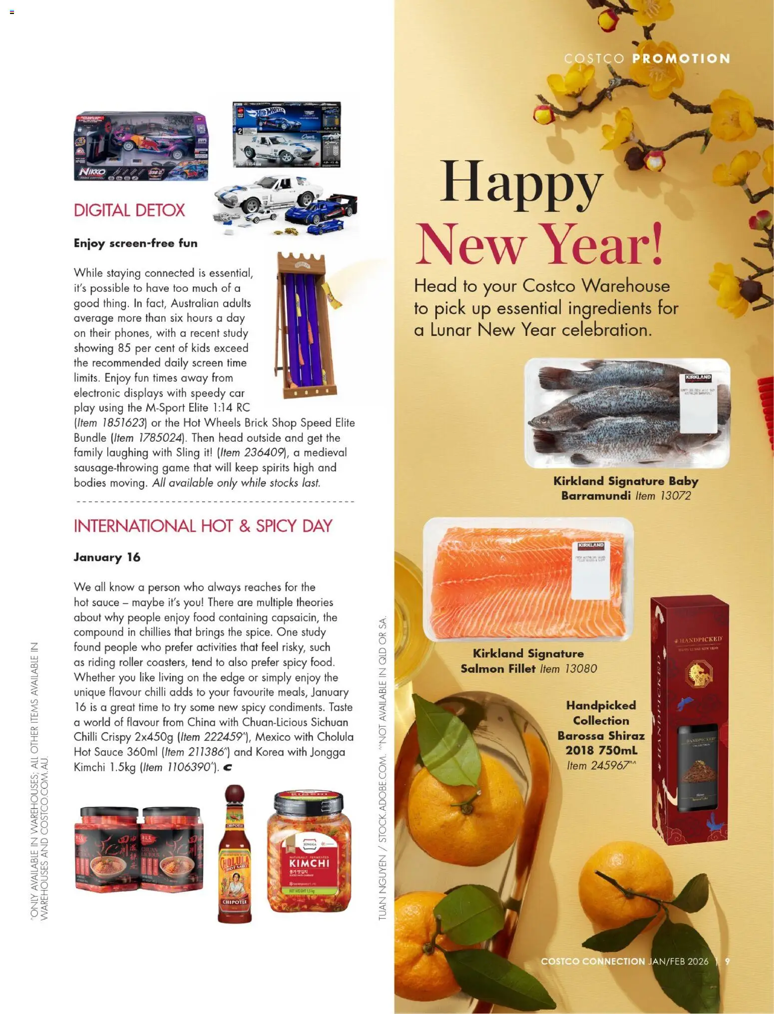 Costco catalogue - valid from 01.01.2026 | Page: 15 | Products: Chilli, Digital, Game, Screen