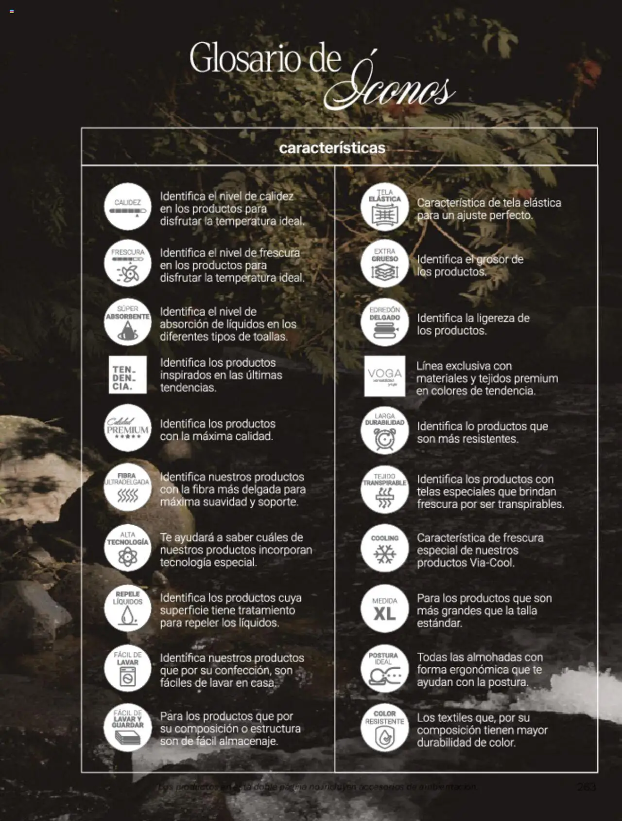 Nuevas ofertas de Vianney válidas en toda la República Mexicana desde el 07.03.2025. ¡Encuentra las mejores ofertas en Vianney catálogo Primavera! | Página: 267 | Productos: Té