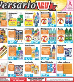 Vista previa de Casa Ley - Folleto Mayoreo, nuevo folleto de la tienda, válido en México a partir del 13.10.2025 | Página: 6 | Productos: Sopa, Aceite, Polvo, Jabón