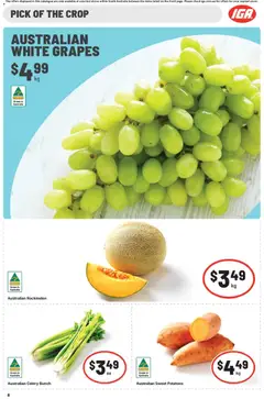Preview of IGA Catalogue SA - valid from 21.01.2026 | Page: 6 | Products: Potatoes, Grapes, Rockmelon