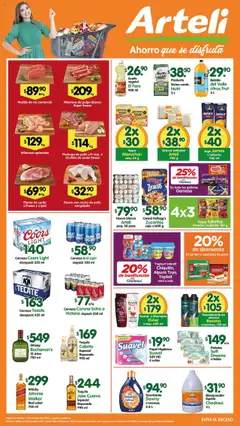 Vista previa de Arteli folleto Tuxpan, nuevo folleto de la tienda, válido en México a partir del 17.10.2025