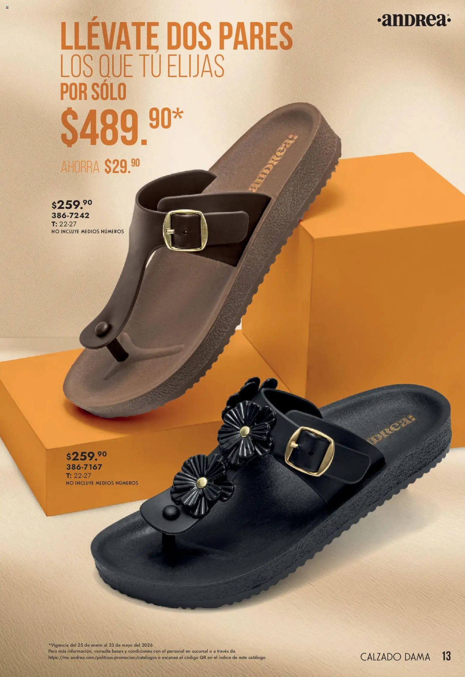 Nuevas ofertas de Andrea válidas en toda la República Mexicana desde el 22.03.2026. ¡Encuentra las mejores ofertas en Andrea catálogo Lo más top! | Página: 13