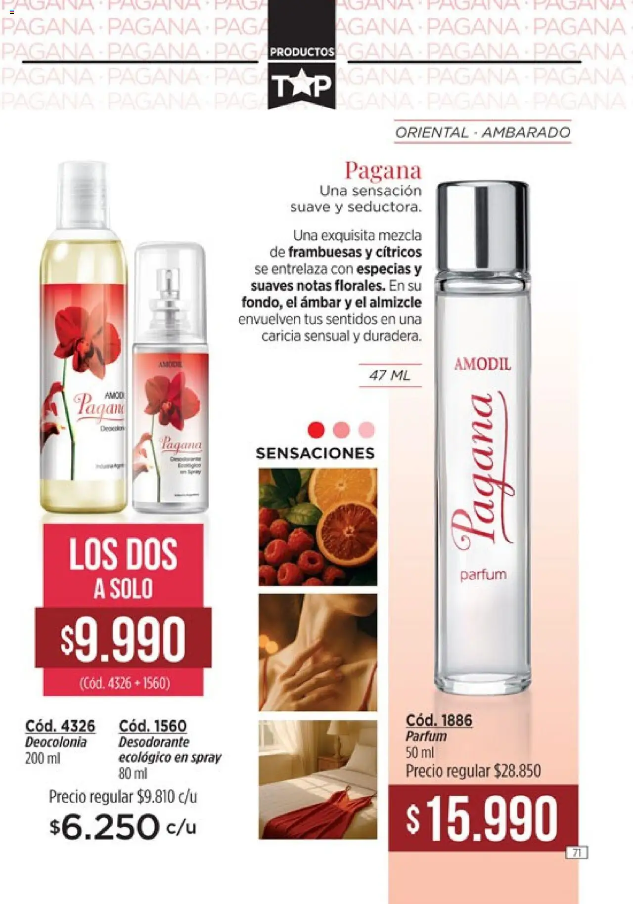 Catálogo Amodil Campaña 11 │ válido desde el 13.06.2025 | Página: 71 | Productos: Desodorante