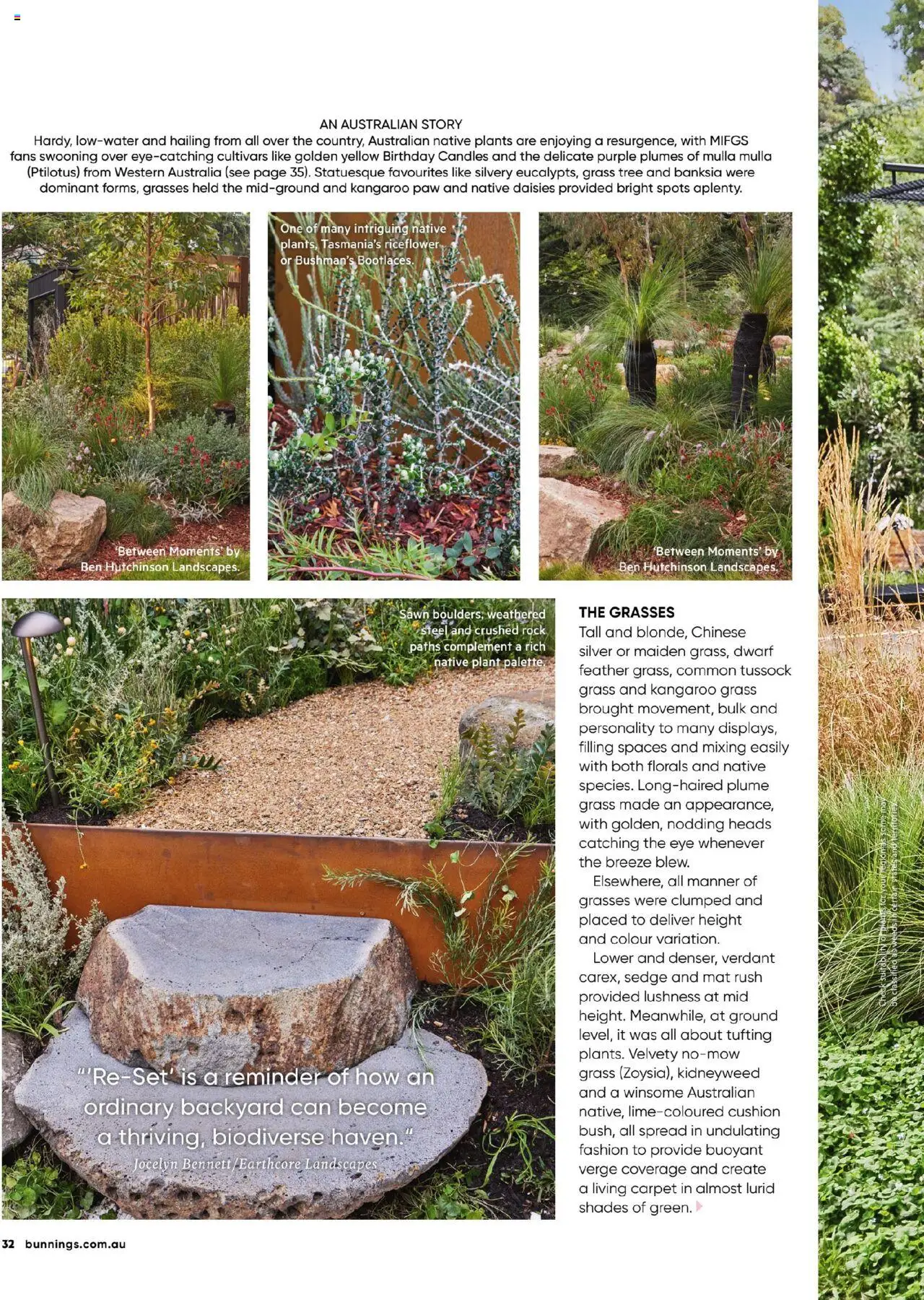 Bunnings Warehouse catalogue - valid from 01.08.2025 | Page: 32 | Products: Cushion, Carpet, Native, Plant