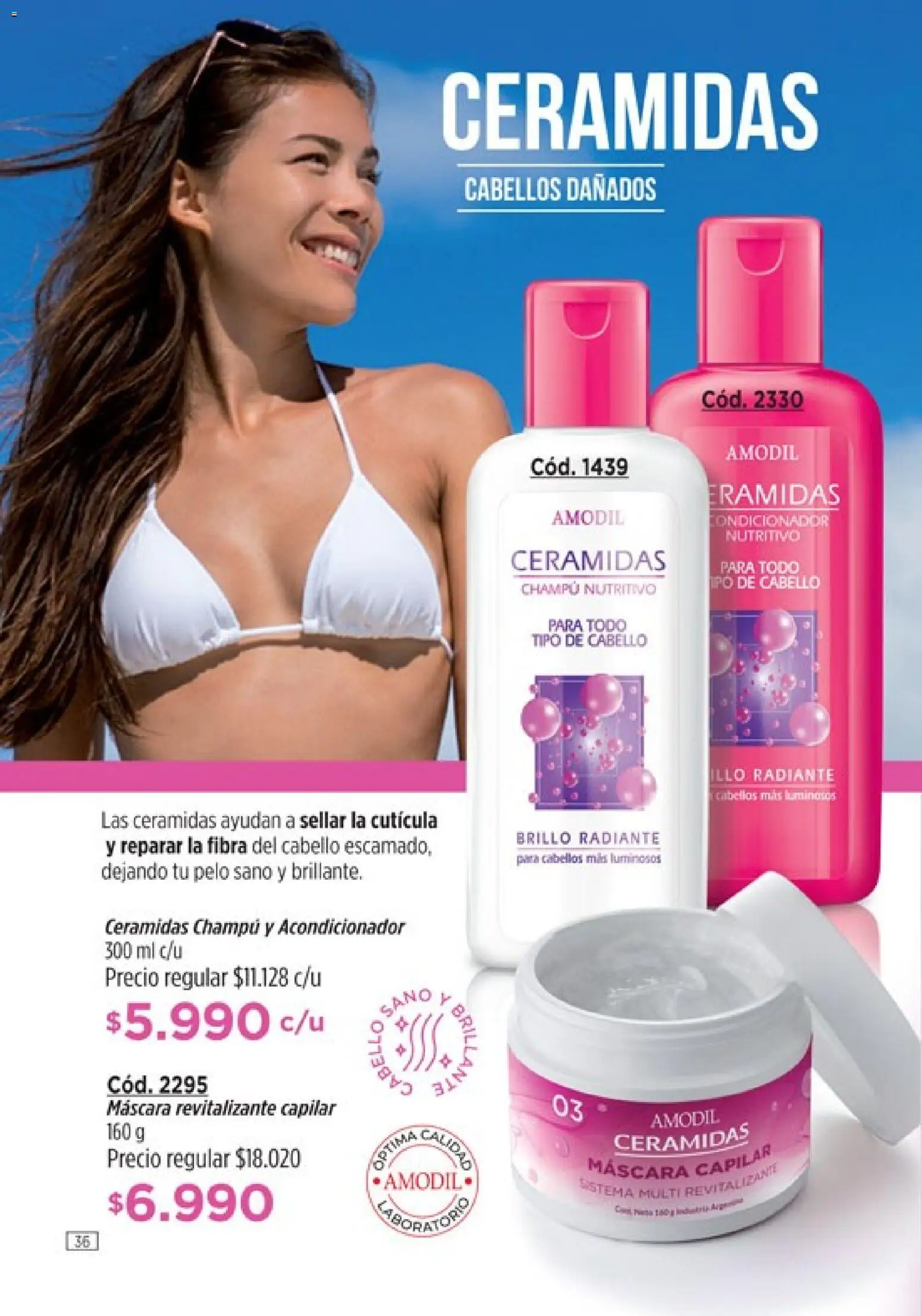 Catálogo Amodil Campaña 1/2026 │ válido desde el 01.01.2026 | Página: 36 | Productos: Máscara, Champú, Brillo, Radiante