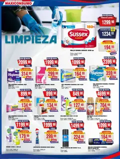 Vista previa Maxiconsumo ofertas válido desde el 13.10.2025 | Página: 18