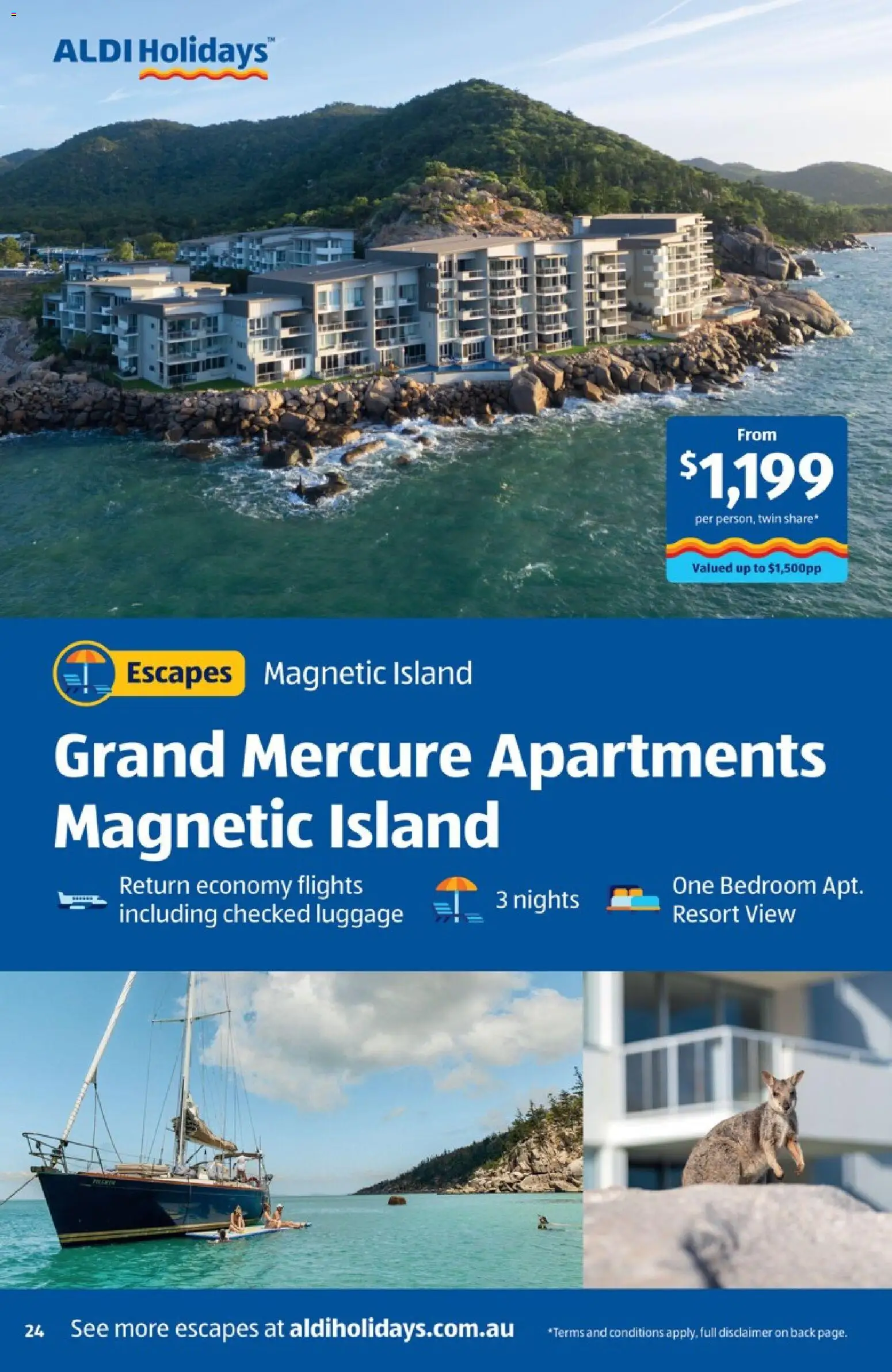 Aldi catalogue - valid from 01.01.2026 | Page: 24